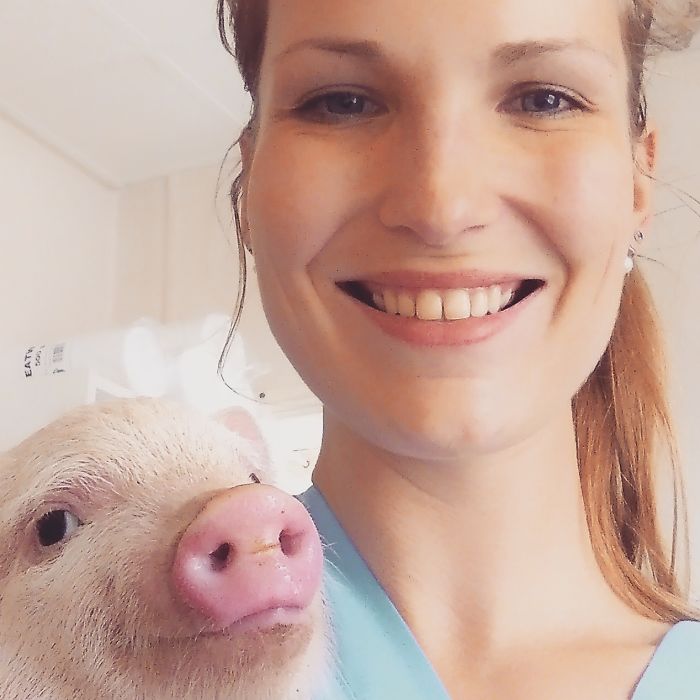 I Help All Creatures Great And Small