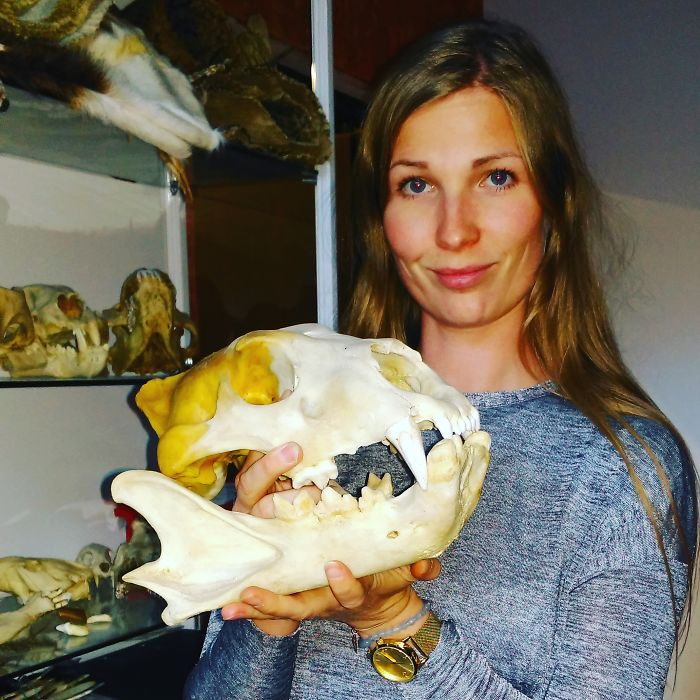 I Help All Creatures Great And Small