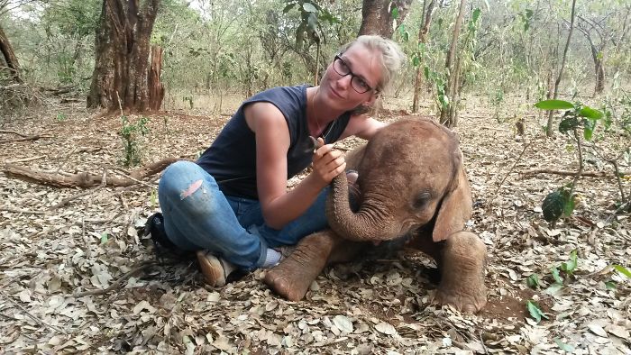 I Help All Creatures Great And Small