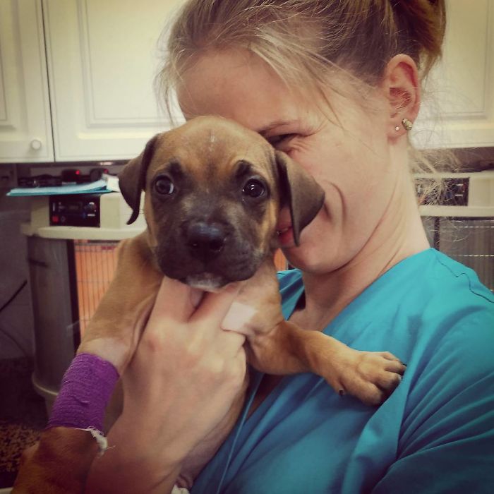 I Help All Creatures Great And Small