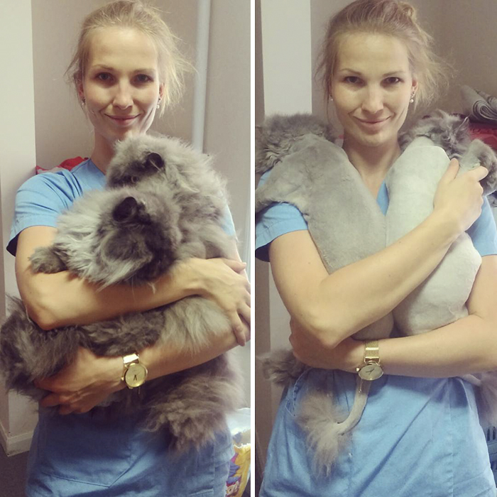 I Help All Creatures Great And Small