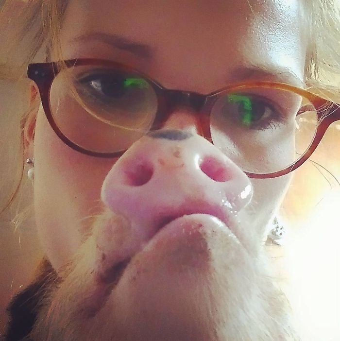 I Help All Creatures Great And Small