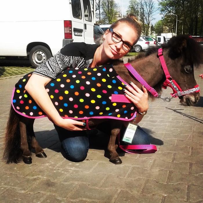 I Help All Creatures Great And Small