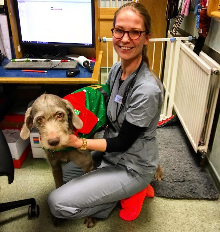 I Help All Creatures Great And Small