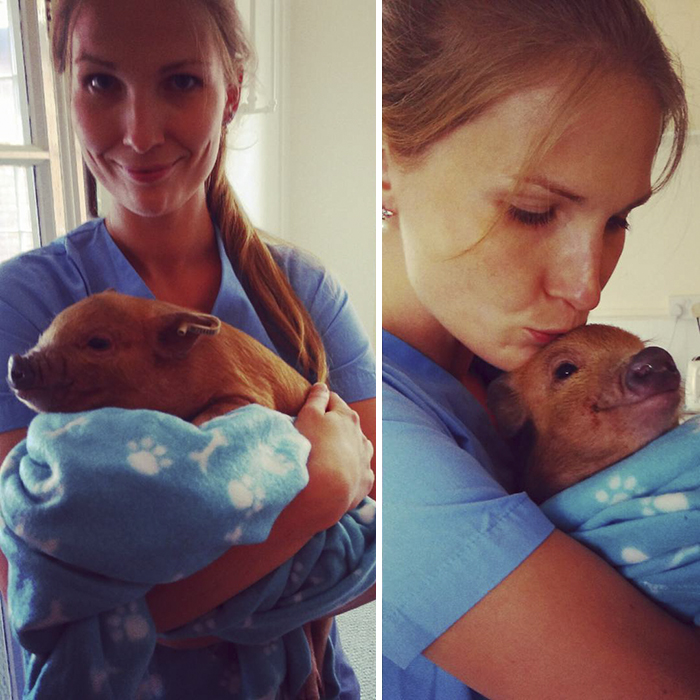 I Help All Creatures Great And Small