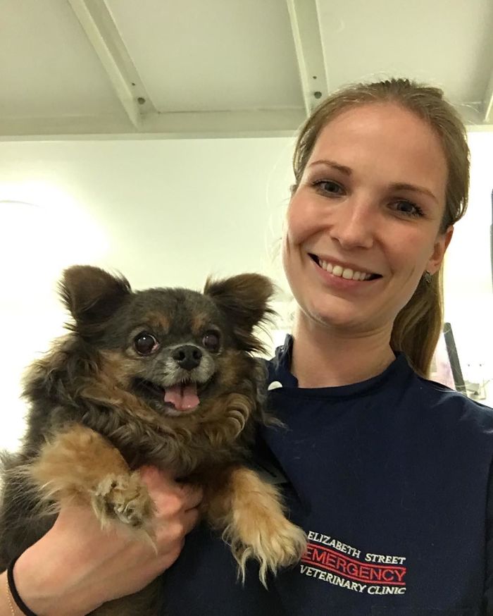 I Help All Creatures Great And Small