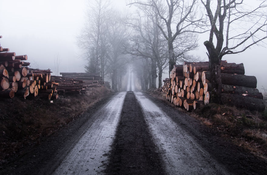 I Kept Chasing Fog In The Swedish Nature. 13 Images.