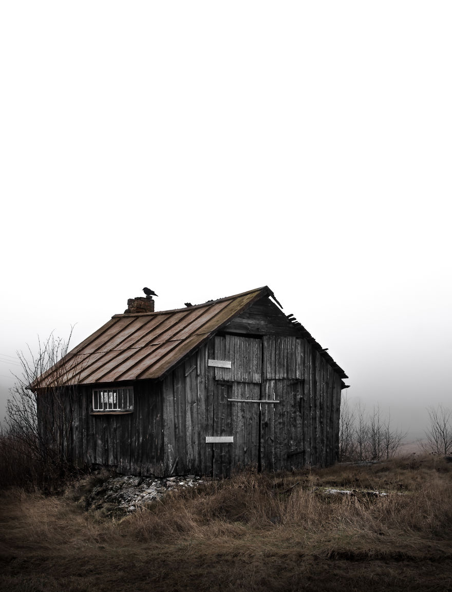 I Kept Chasing Fog In The Swedish Nature. 13 Images. I Kept Chasing Fog In The Swedish Nature. 13 Images.