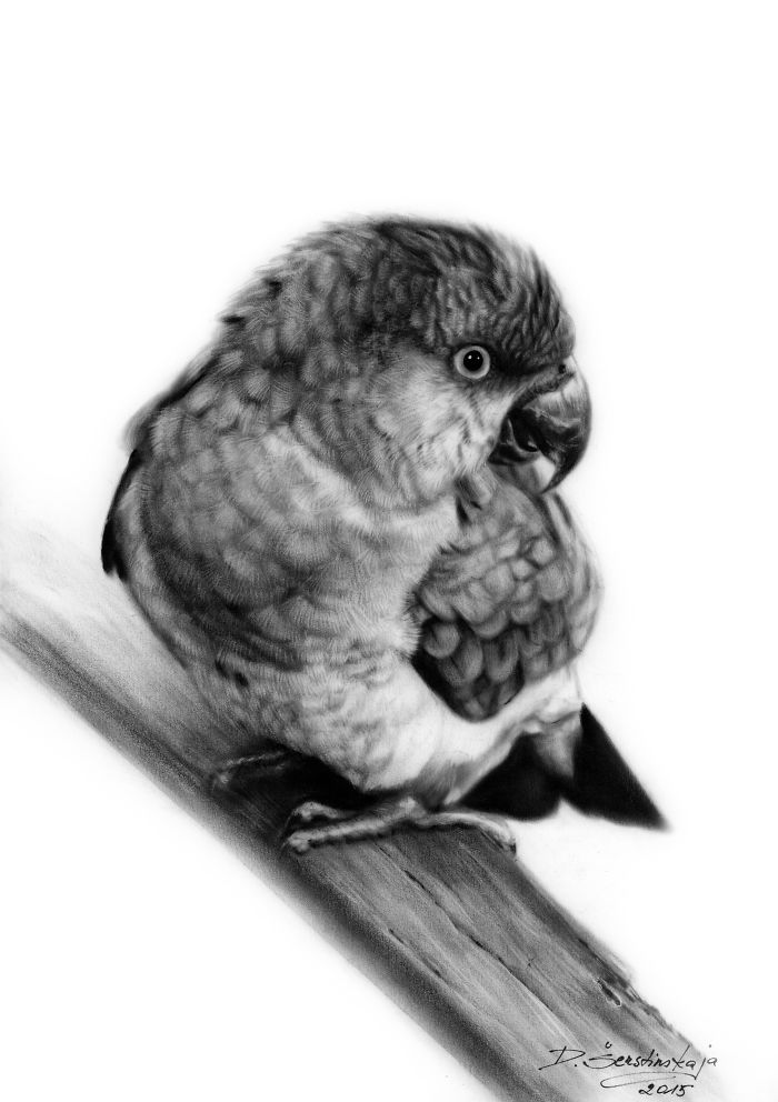 I Paint It With Oil On Paper! It Is An Exceptionally Rare Technique