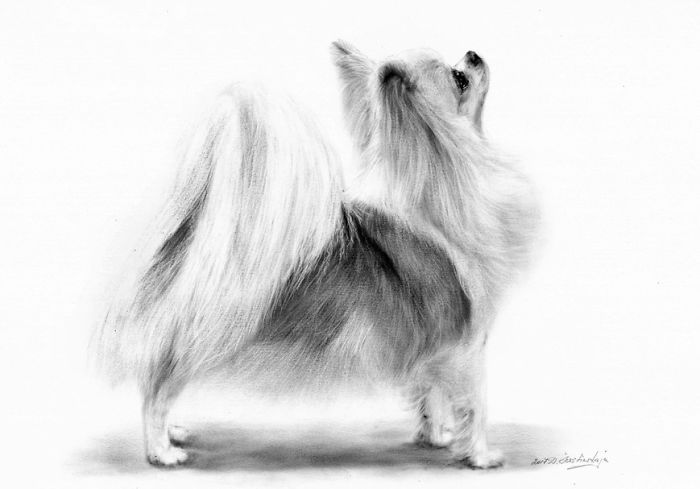 I Paint It With Oil On Paper! It Is An Exceptionally Rare Technique