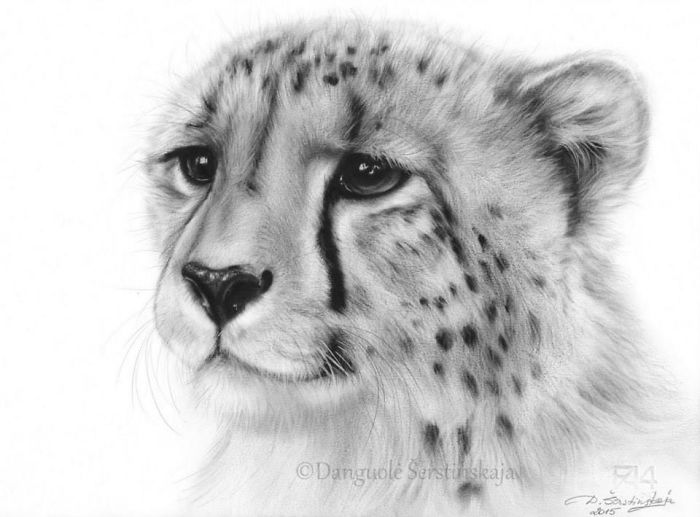 I Paint It With Oil On Paper! It Is An Exceptionally Rare Technique