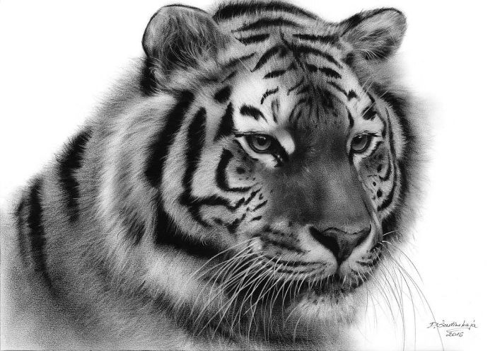 I Paint It With Oil On Paper! It Is An Exceptionally Rare Technique