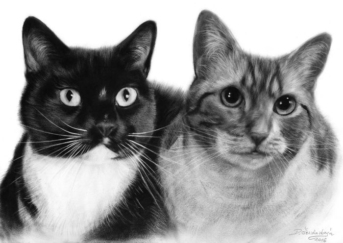 I Paint It With Oil On Paper! It Is An Exceptionally Rare Technique