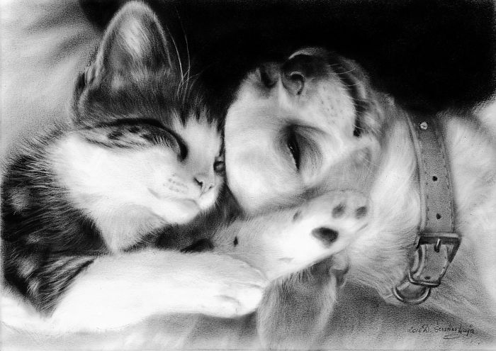 I Paint It With Oil On Paper! It Is An Exceptionally Rare Technique