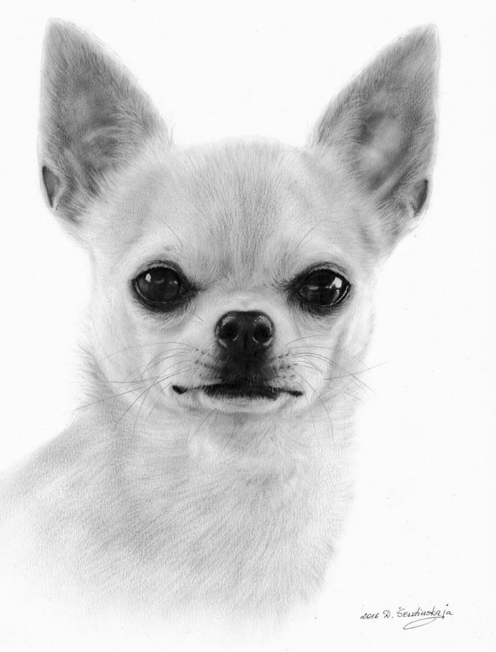 I Paint It With Oil On Paper! It Is An Exceptionally Rare Technique