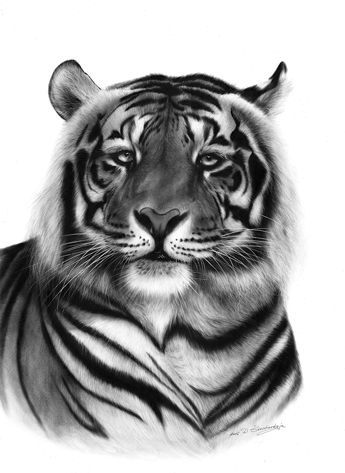 I Paint It With Oil On Paper! It Is An Exceptionally Rare Technique