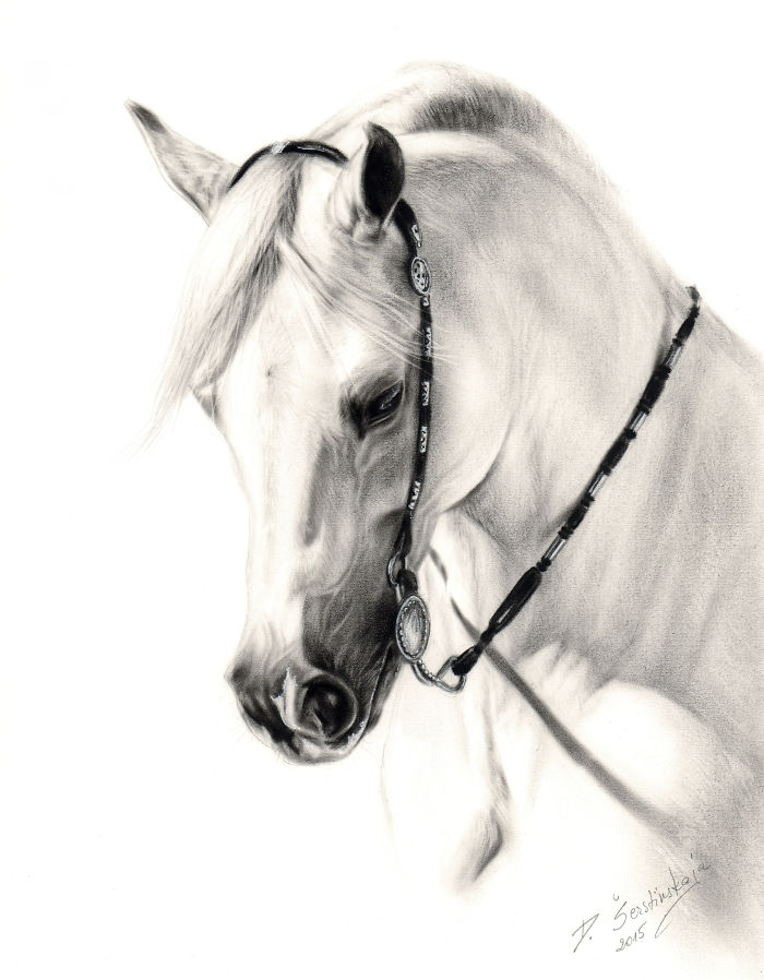 I Paint It With Oil On Paper! It Is An Exceptionally Rare Technique