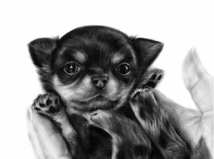 I Paint It With Oil On Paper! It Is An Exceptionally Rare Technique