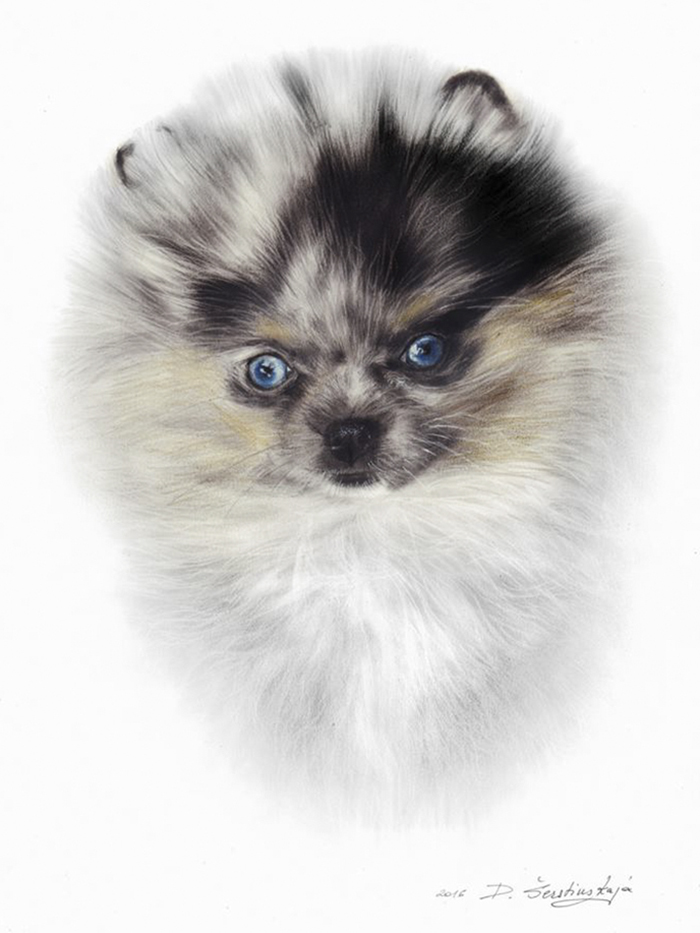 I Paint It With Oil On Paper! It Is An Exceptionally Rare Technique