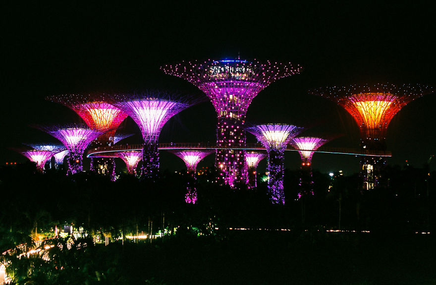 I Use 35mm Film Camera To Capture Singapore's Magical Beauty