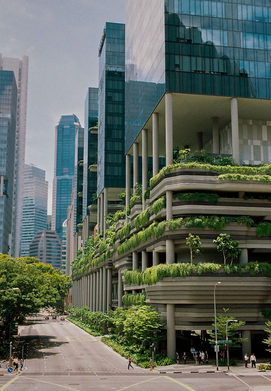 I Use 35mm Film Camera To Capture Singapore's Magical Beauty