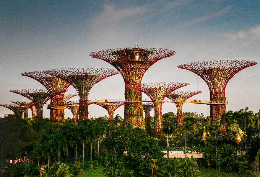 I Use 35mm Film Camera To Capture Singapore's Magical Beauty