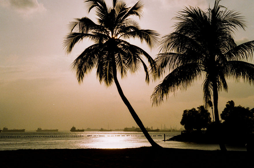 I Use 35mm Film Camera To Capture Singapore's Magical Beauty