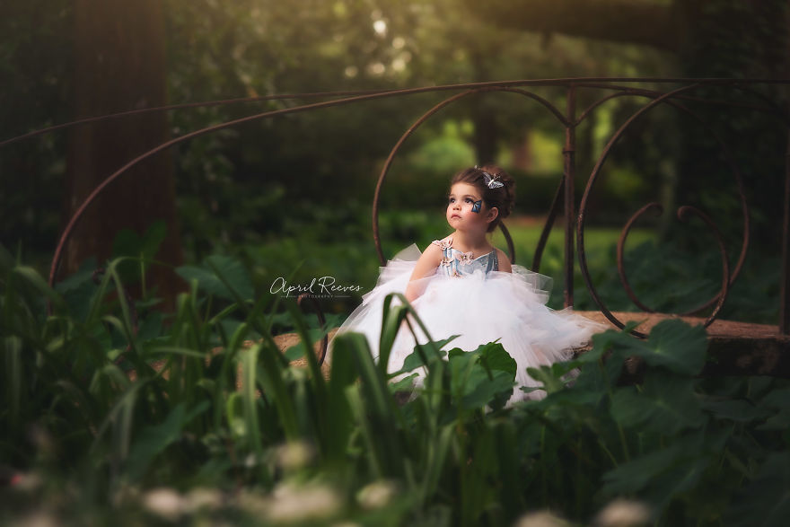 I Captured A Butterfly In The Woods