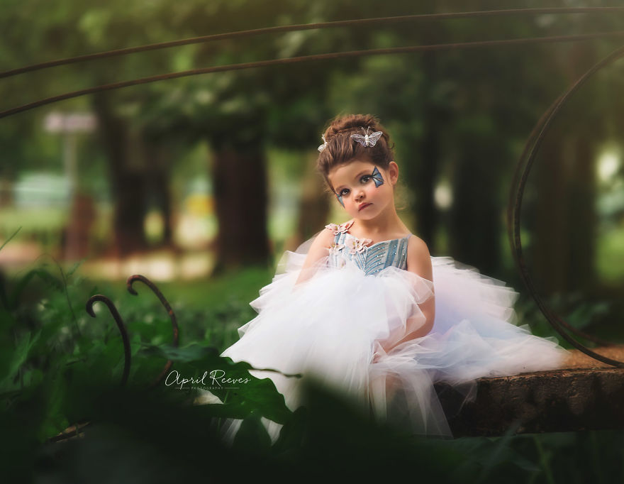 I Captured A Butterfly In The Woods