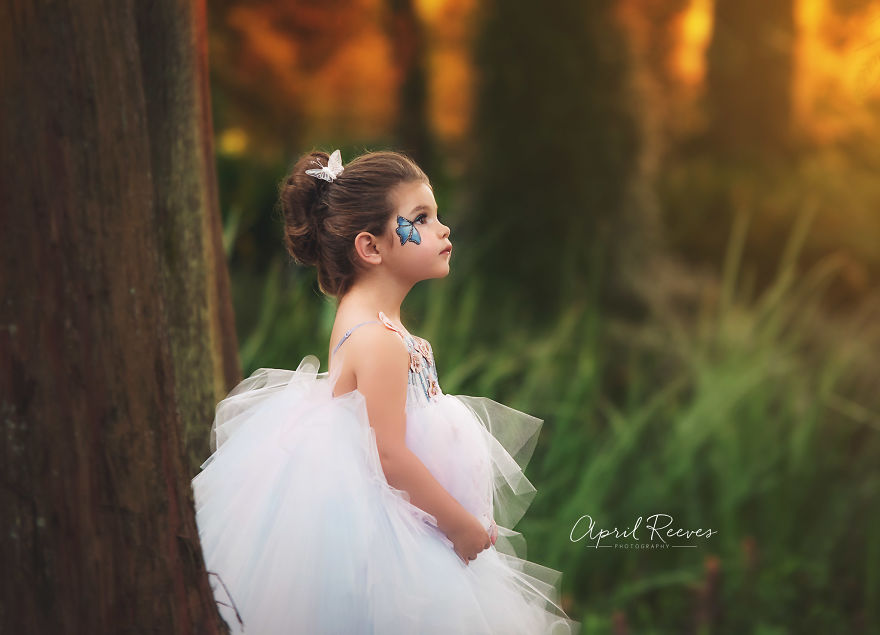 I Captured A Butterfly In The Woods