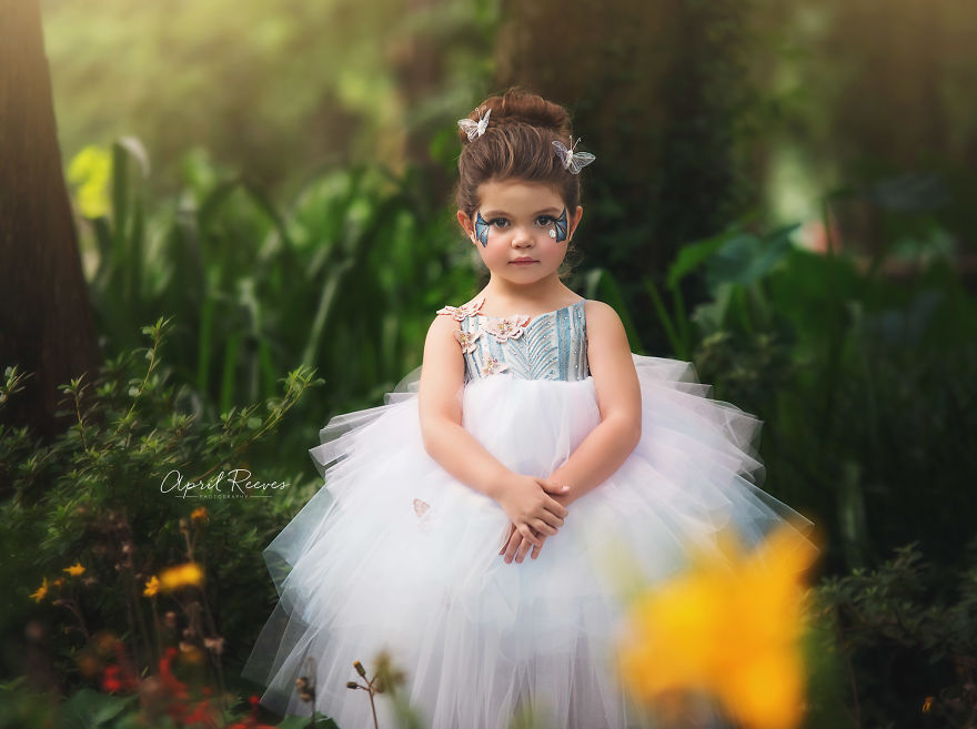 I Captured A Butterfly In The Woods