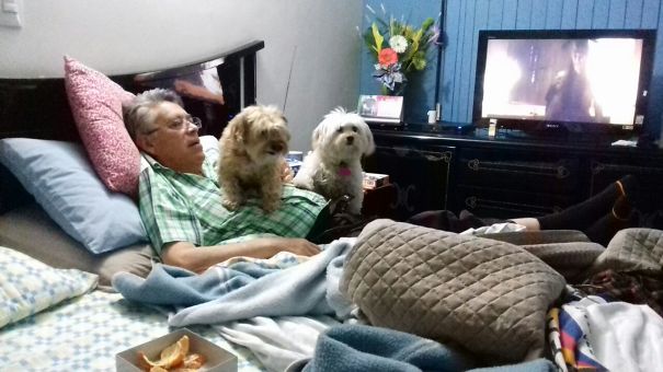 He Said "dogs Are Not Allowed On The Bed" So They Replied Like This