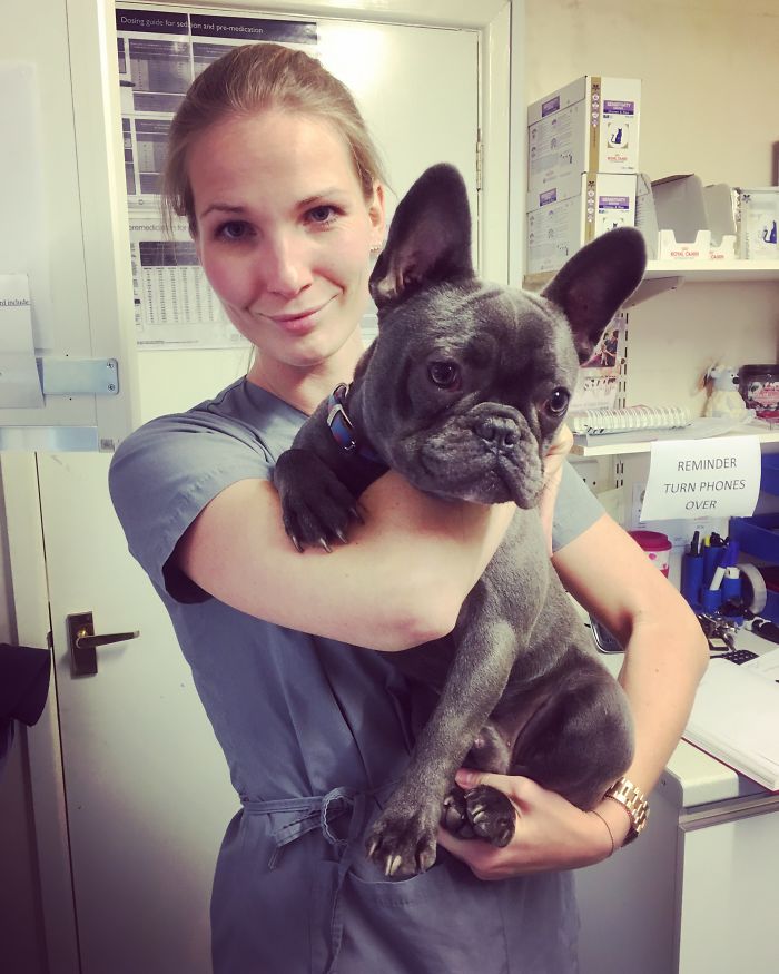 I Help All Creatures Great And Small