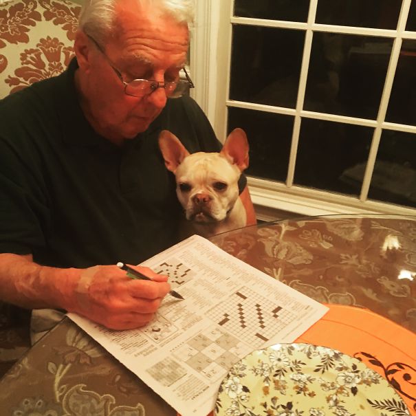 Dad Who Didn't Want A Dog