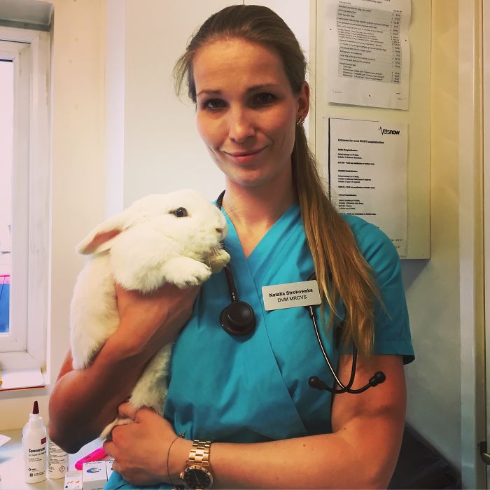 I Help All Creatures Great And Small