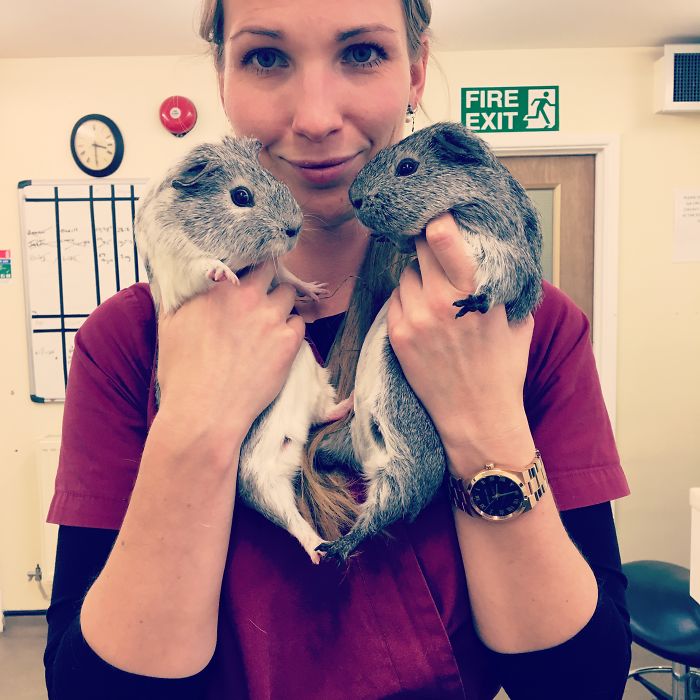 I Help All Creatures Great And Small