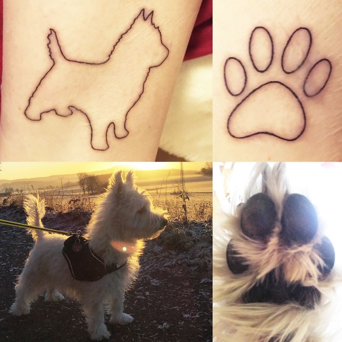 Dog tattoo ideas with outline of dog and paw design, featuring a white dog walking outdoors.