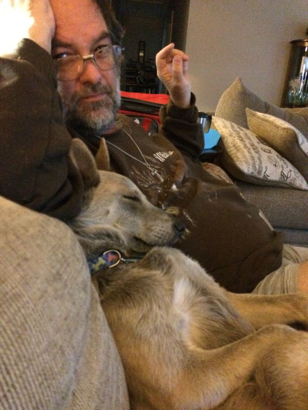 No More Dogs And I Mean It!