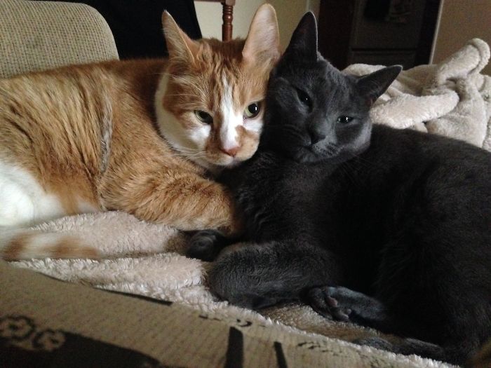 Tiggy And Chloe...❤️