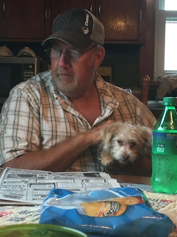 Dad Said We Are Not Having A House Dog! And Yet They I Catch Them Like This!