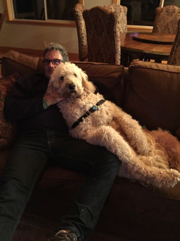 He Wanted Me To Get A Small Dog...