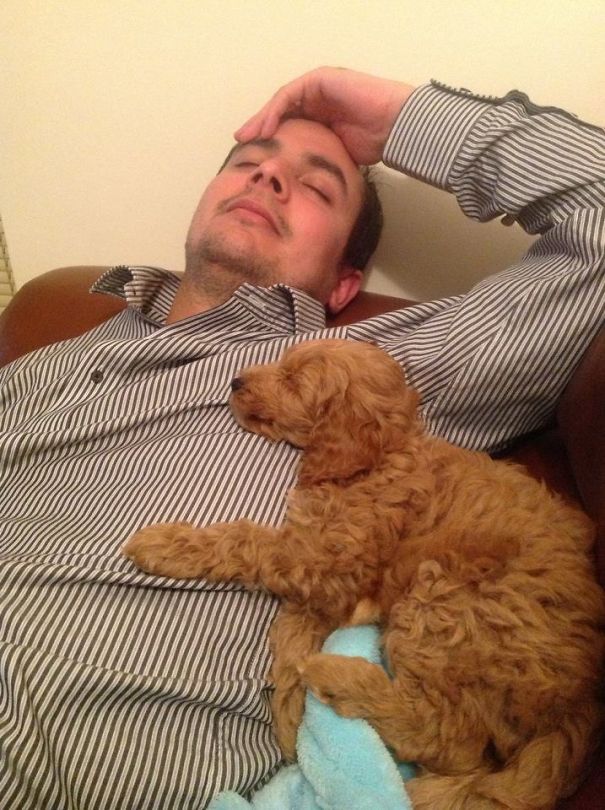 Dad Didn't Want A "smelly" Dog! Now It's True Love