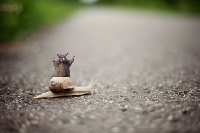 Riding A Snail (it's Awful, I Know 😂)