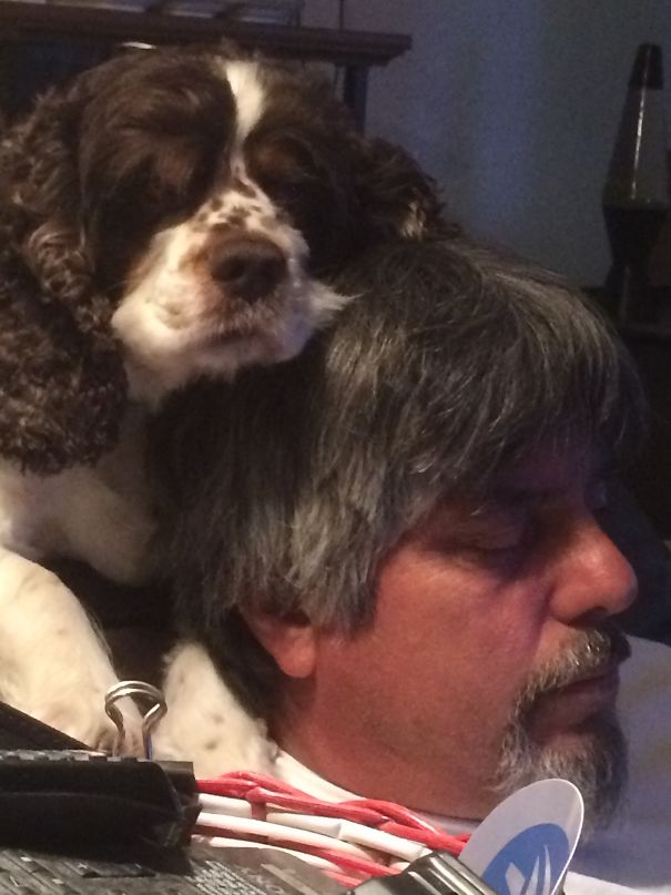 Dad Didn't Want A Dog But Now He's His Baby And There Inseparable