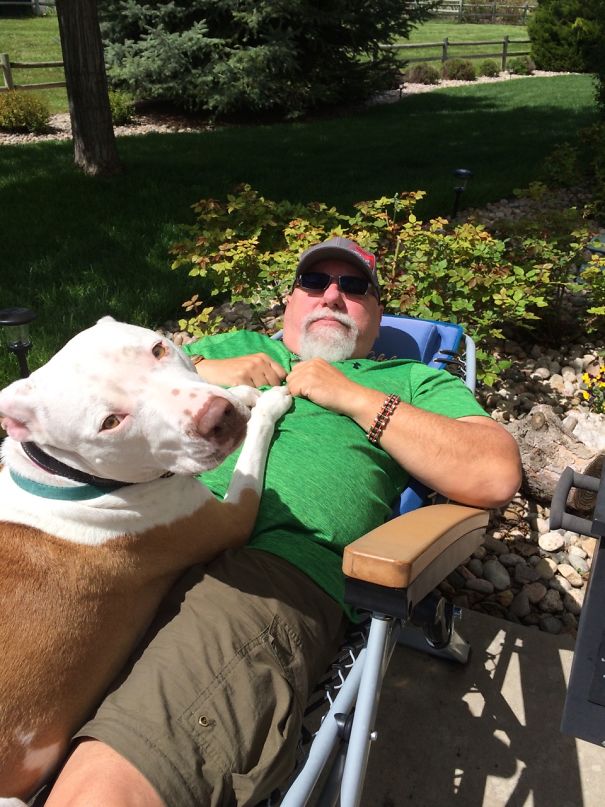 My Dad Said We Needed Another Dog Like A Hole In The Head. This Is How They Spend Their Afternoons.