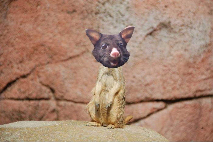 This Is Real. What, You Don't Believe Me?!