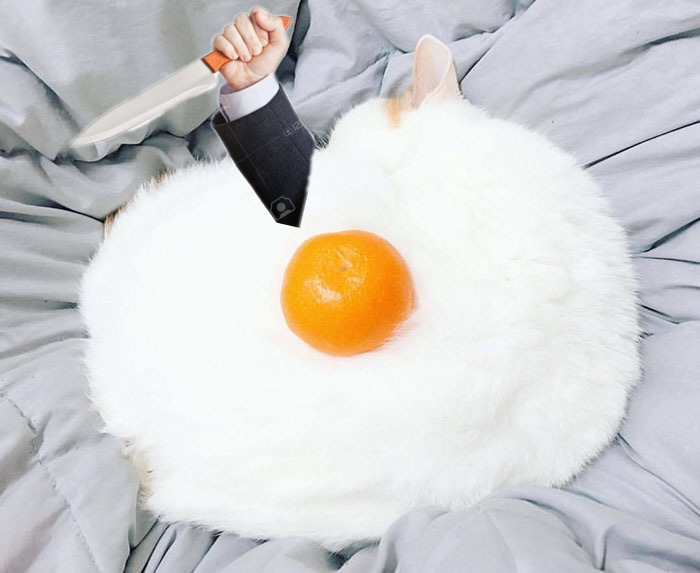 Don't Try To Eat This Egg. It Will Cut You.