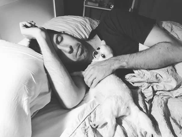 Daddy Didn't Want A Dog The First Time Around, He Certainly Didn't Want A Second! Now He Calls Her His "teddy Bear".