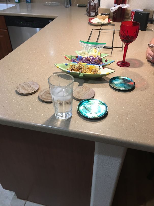 Animals Live In My House