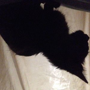 kaaro_palaganas avatar